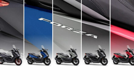 Honda Forza 125 et 350 : Nouvelles couleurs pour 2024