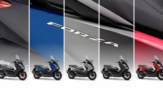 Honda Forza 125 et 350 : Nouvelles couleurs pour 2024